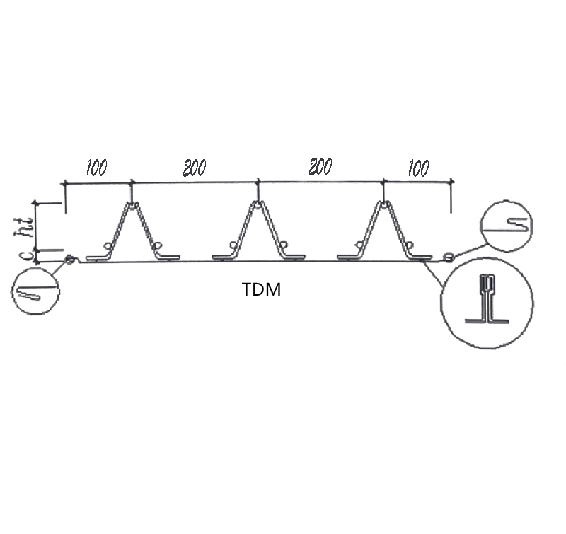 TDM tpye truss deck